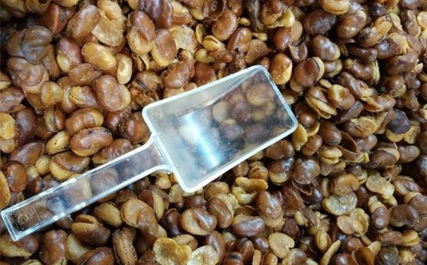 蠶豆有毒嗎？吃蠶豆會(huì)中毒嗎？(3)