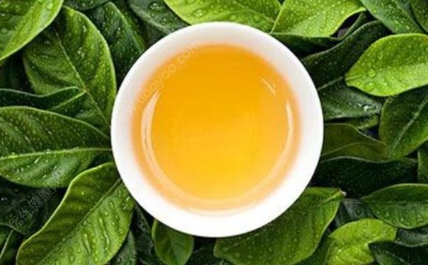 喝什么茶減肥效果好？哪些茶可以減肥？(1)