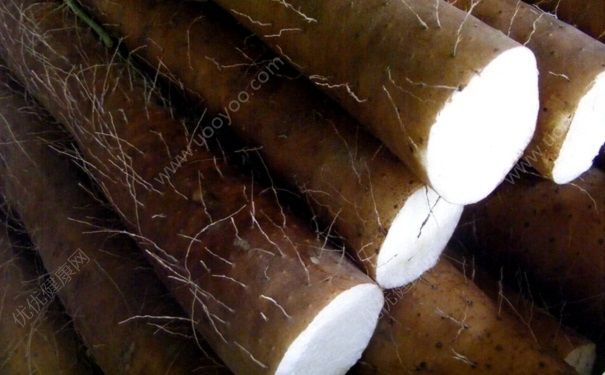 山藥胃不好能吃嗎？山藥胃病的人可以吃嗎？(4)