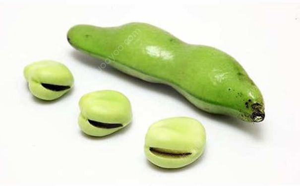 蠶豆是什么豆？蠶豆是堅(jiān)果嗎？(4)
