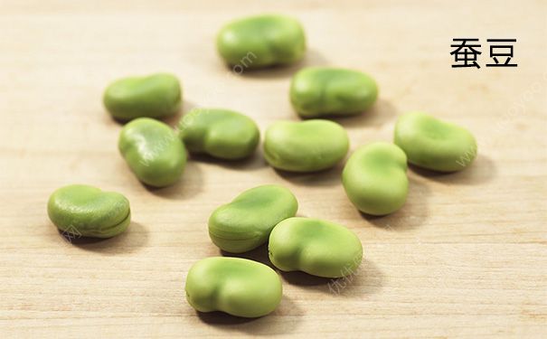 豌豆和蠶豆一樣嗎？蠶豆和豌豆的區(qū)別(3)