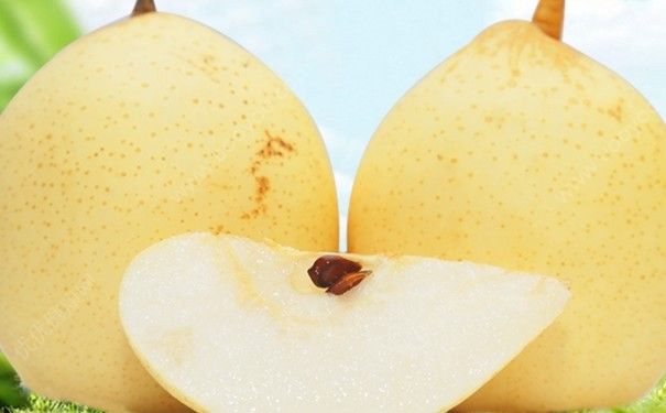 雪梨和皇冠梨一樣嗎？雪梨和皇冠梨的區(qū)別(2)