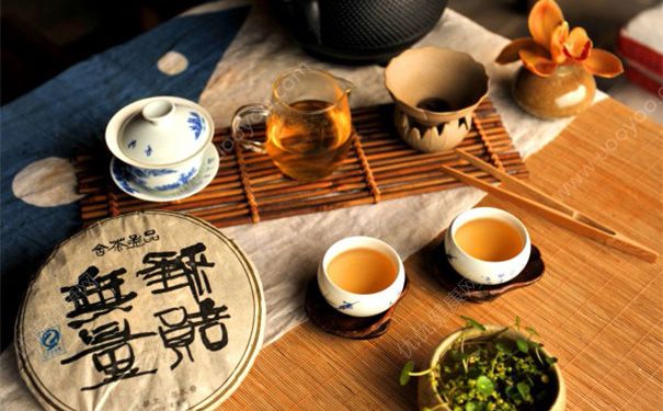 哺乳期可以喝綠茶嗎？哺乳期可以喝綠茶飲料嗎？(2)