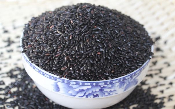 黑芝麻能治咳嗽嗎？吃黑芝麻可以止咳嗎？(2)