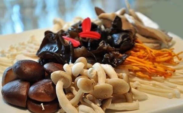 吃什么最營養(yǎng)健康？營養(yǎng)健康的食材有哪些？(1)