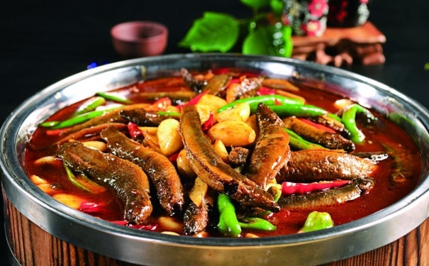 泥鰍營養(yǎng)價(jià)值有哪些？吃你去可以補(bǔ)腎嗎？(1)