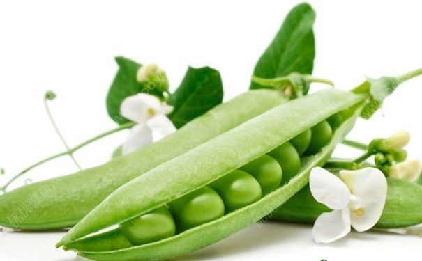 春季吃豆有什么好處？春季吃豆的好處是什么？(1)