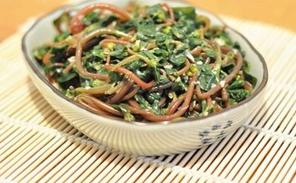 馬齒莧有什么藥用價值？馬齒莧的養(yǎng)生功效有哪些？(1)