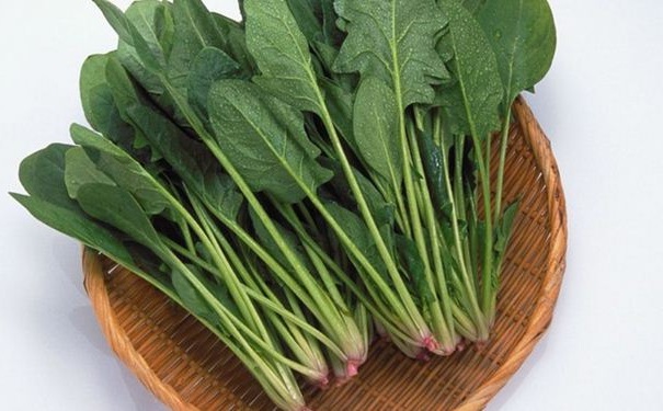 吃什么蔬菜能養(yǎng)肝護(hù)肝？疏肝清熱要多吃什么蔬菜？(1)