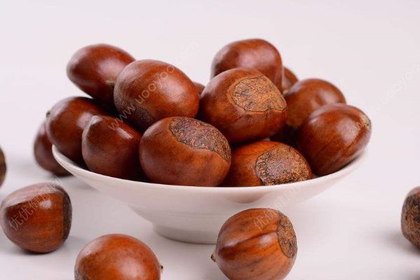 生食板栗可補(bǔ)腎！你所不知道的板栗(1)