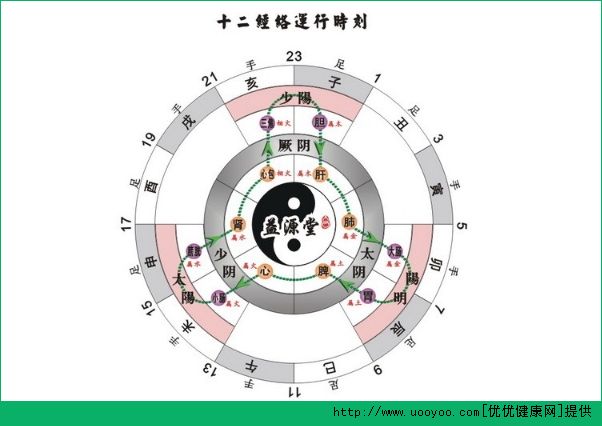 十二正經(jīng)是什么意思？十二正經(jīng)從哪里分左右?(1)