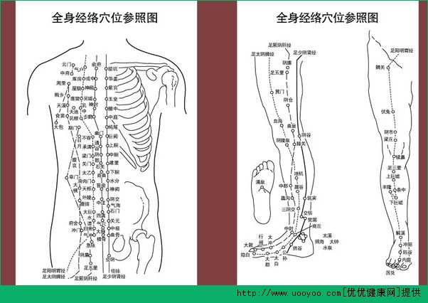 經(jīng)絡(luò)穴位怎么背？速記經(jīng)絡(luò)穴位方法(2)