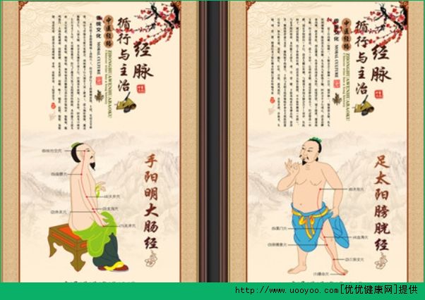 經(jīng)絡(luò)穴位怎么背？速記經(jīng)絡(luò)穴位方法(5)