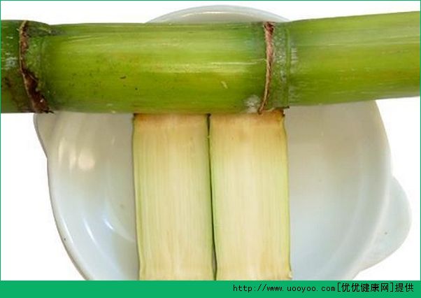 甘蔗煮水喝能止咳嗎？甘蔗煮水治咳嗽嗎？(2)