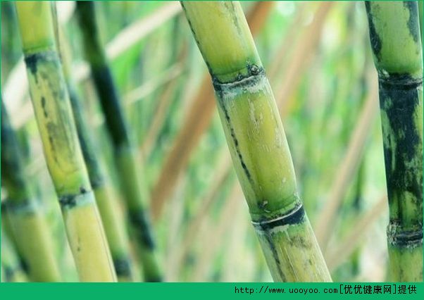 甘蔗什么時(shí)候上市？甘蔗是什么季節(jié)的水果？(4)