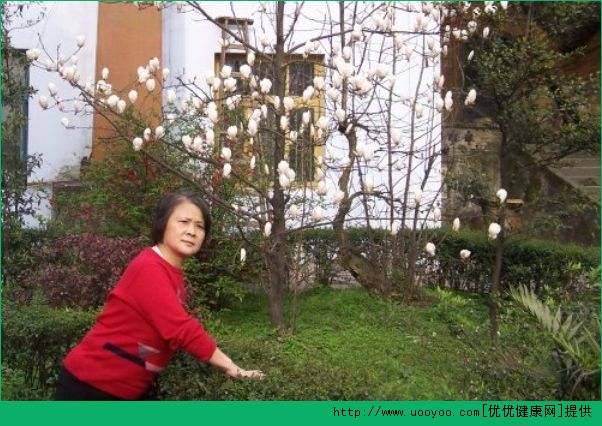 糖尿病人運(yùn)動(dòng)量控制多少才合適？糖尿病人運(yùn)動(dòng)時(shí)間怎么控制？(3)