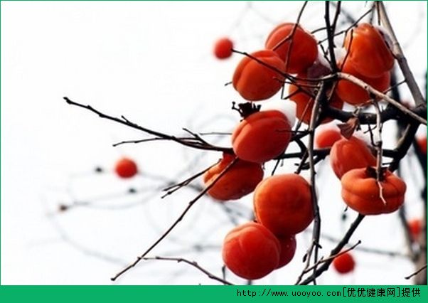產(chǎn)婦能吃柿子么？產(chǎn)婦吃柿子好嗎？(3)