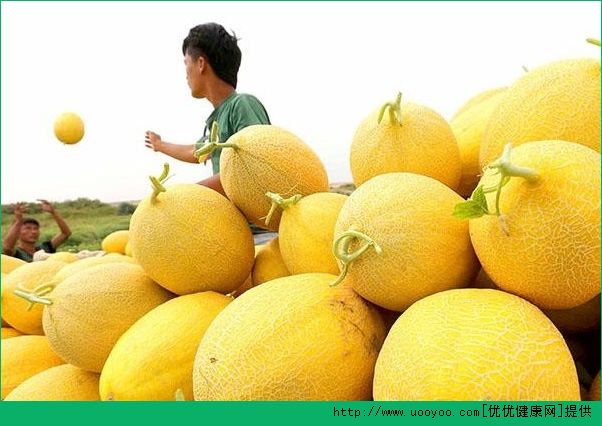 哈密瓜切開后怎么保存？哈密瓜切開后能放多久？(5)
