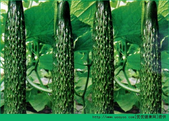 吃黃瓜有什么好處？經(jīng)常吃黃瓜有什么好處？(4)