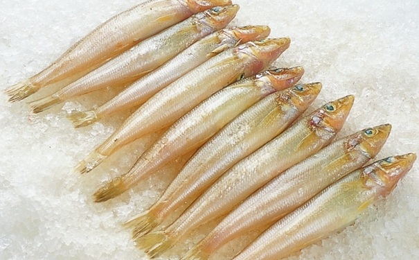 沙丁魚(yú)湯的做法是怎樣的？沙丁魚(yú)湯怎么做？(1)