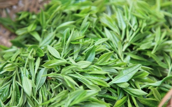 如何挑選好茶葉？茶葉的儲(chǔ)藏方法有哪些？(1)