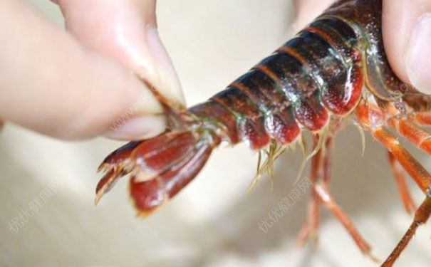 龍蝦怎么洗才干凈？怎樣洗龍蝦又快又干凈？(1)