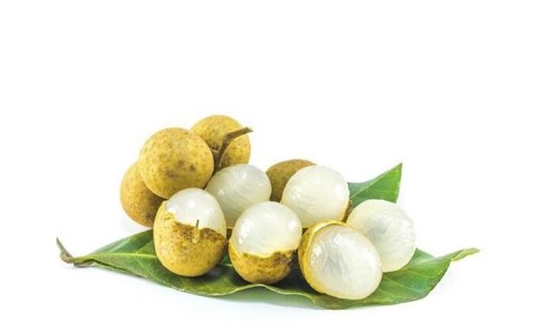 秋季補血吃什么好？適合秋季的補血食物有哪些？(1)