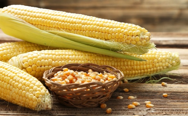 哪些食物可以明顯提高記憶力？記憶力下降吃些什么食物好？(1)
