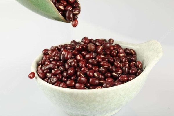 女人冬季吃什么食物進(jìn)補(bǔ)？冬季這八種食物女人不可錯(cuò)過(guò)！(2)