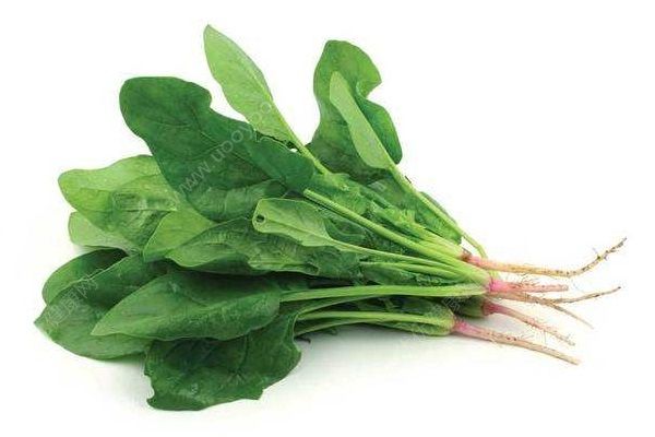 秋季護(hù)膚的蔬菜有哪些？秋季美容這些蔬菜不可少！(2)