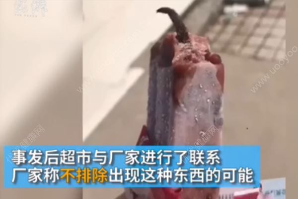 冰棍吃出老鼠尾巴，廠家被索賠十萬，自制冰棍方法(3)
