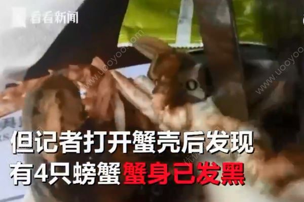 吃自助餐6只螃蟹4只臭，商家認(rèn)有問(wèn)題但不撤換(4)