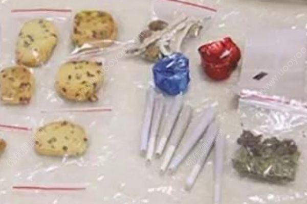 吃了蘑菇產(chǎn)生迷幻效果，樂隊成員帶它乘火車被抓了(2)