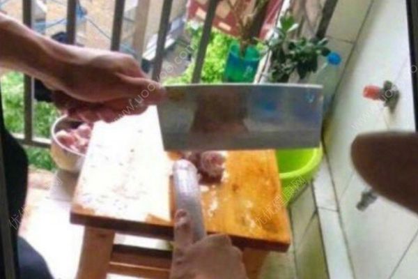 惹不起！寢室跑來一條蛇！同學(xué)把它剝皮燉了！(4)