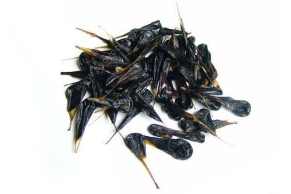 女子生吞蛇膽中毒，蛇膽的功效和作用(4)
