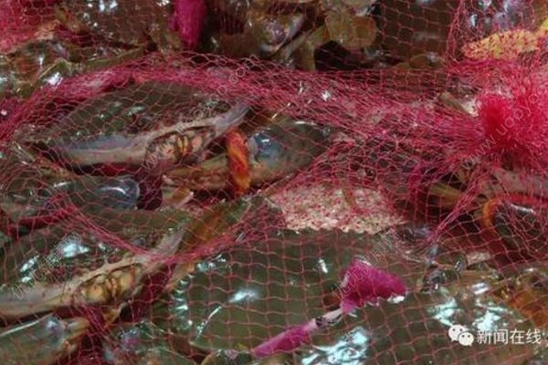 1家4口喝湯中毒2人不幸身亡，只因湯里加了這種東西(2)