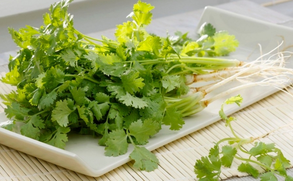香菜不能和什么食物一起吃？香菜不能和什么同吃？(1)