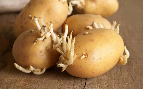 哪些食物發(fā)芽不可以吃？哪些食物發(fā)芽可以吃？(1)