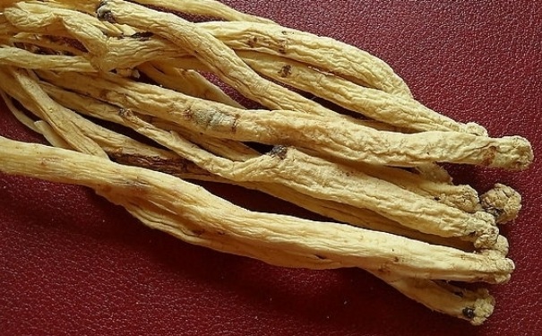 黃芪黨參泡水喝功效有哪些？黨參黃芪泡水喝有哪些好處？(1)