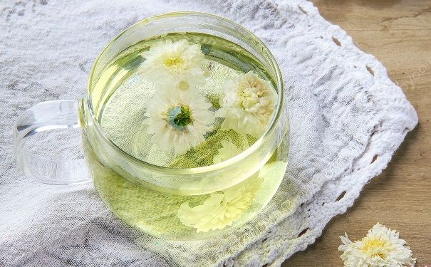 春天喝菊花茶好嗎？春天喝菊花茶好不好？(2)