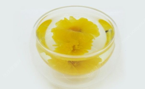 春天喝菊花茶好嗎？春天喝菊花茶好不好？(1)
