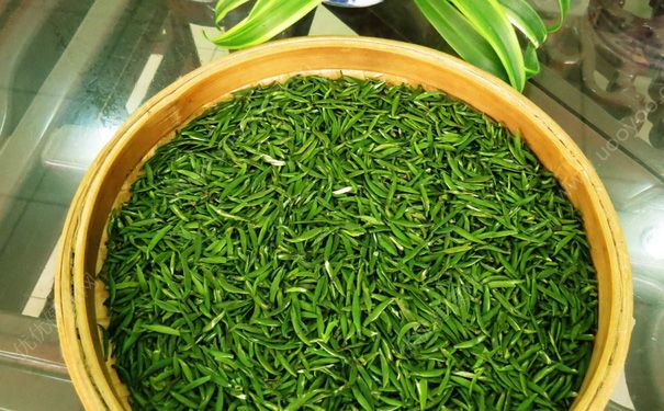 常喝綠茶有哪些好處？綠茶有抗癌效果嗎？(1)