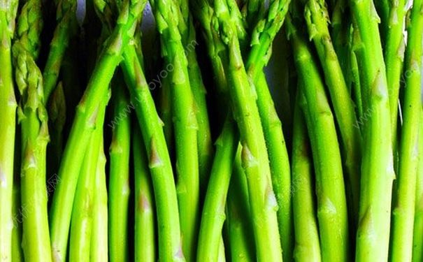 春季適合吃點(diǎn)什么？春季孩子吃些什么食物好？(2)