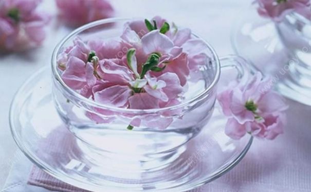 春季適合吃點(diǎn)什么？春季孩子吃些什么食物好？(3)