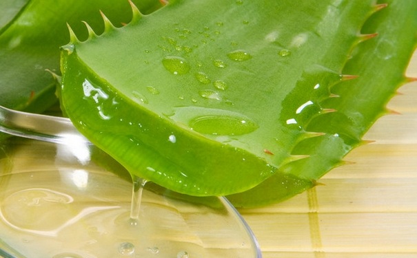 蘆薈面膜能天天做嗎？蘆薈面膜多久做一次最好？(1)