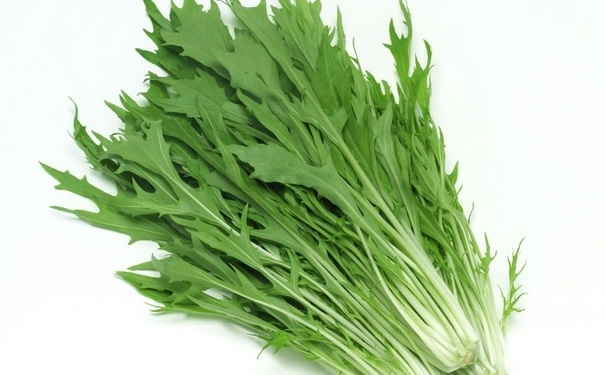 苦菜可以生吃嗎？苦菜生吃會(huì)中毒嗎？(1)