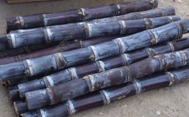 吃甘蔗的好處和壞處有哪些？吃甘蔗有哪些利弊？(1)