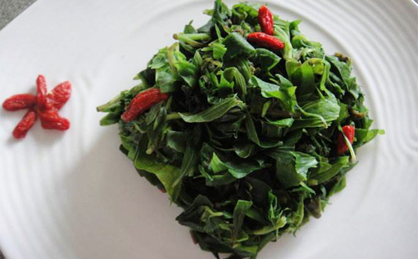 掃帚菜做法有哪些呢？掃帚菜怎么吃比較好？(1)