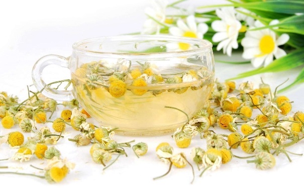 菊花茶有哪些飲用方法？菊花茶的喝法(1)