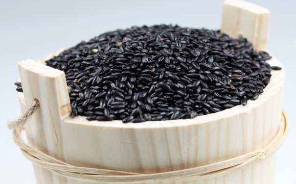 米飯中加什么食物減肥？日常吃什么食物可以減肥？(2)